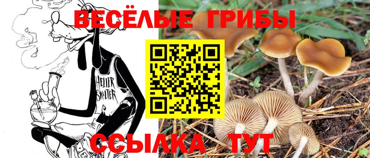 Псилоцибиновые грибы MAGIC MUSHROOMS Лесосибирск