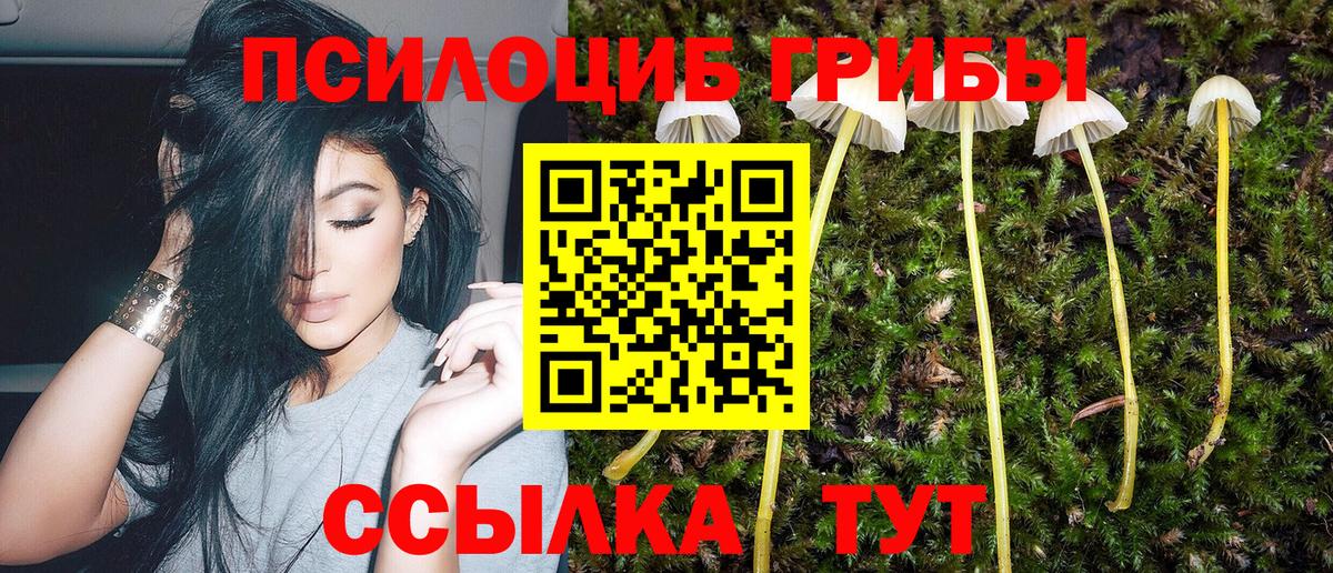 Лесосибирск  Псилоцибиновые грибы Psilocybe  Вход с VPN 